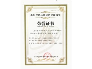 热烈：豭9九游平台环境集团获得2021年度山东省循环经济科学技术奖二等奖