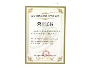 热烈：豭9九游平台环境集团获得2021年度山东省循环经济科学技术奖三等奖